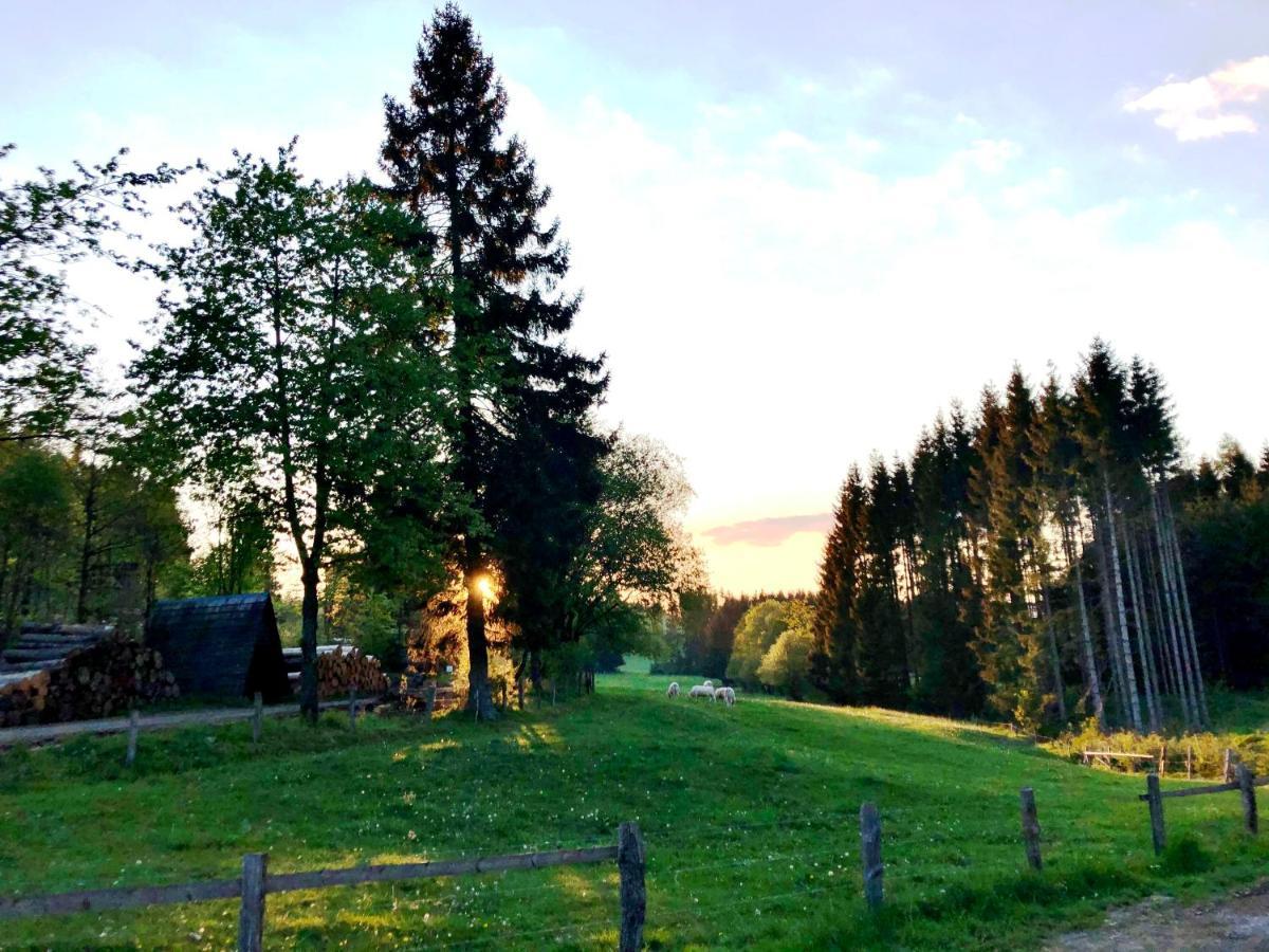 Hotel Zur Post Brilon Esterno foto